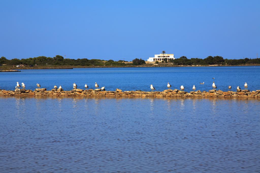 Cas Saliners - Sa Revista By Formentera Mar Daire La Savina  Dış mekan fotoğraf