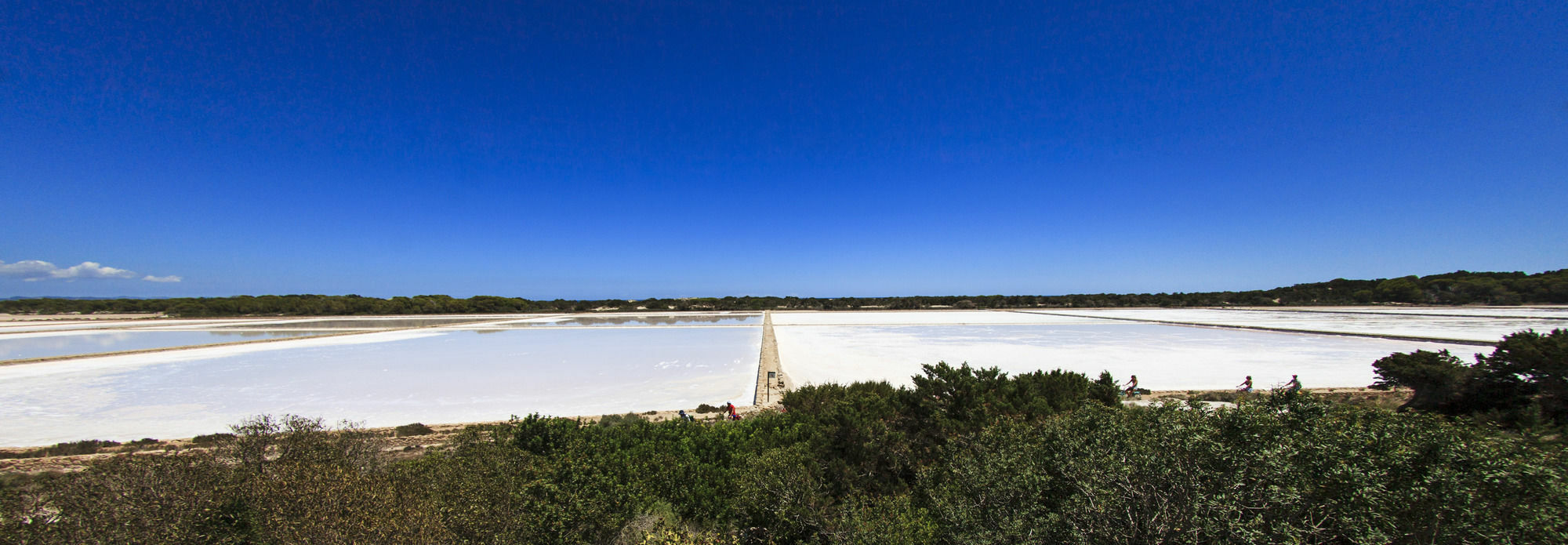 Cas Saliners - Sa Revista By Formentera Mar Daire La Savina  Dış mekan fotoğraf